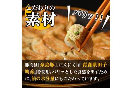 冷凍 焼餃子(計100個)ぎょうざ ギョウザ 国産 タレ付き 惣菜 おつまみ ＜離島配送不可＞【ksg0504】【餃子舗博多弦月】