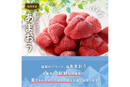 ＜先行予約受付中！2026年4月より順次発送＞冷凍あまおう苺(約500g×2袋・計1kg)いちご イチゴ 冷凍 シャーベット 冷凍いちご ヨーグルト ジャム ＜離島配送不可＞【ksg0046】【南国フルーツ】