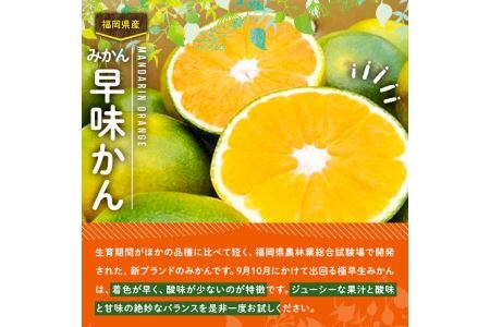 ＜先行予約受付中！2026年9月中旬～9月下旬に順次発送予定＞極早生みかん 早味かん(約2kg)みかん ミカン フルーツ 果物 くだもの 柑橘 福岡限定 オリジナルブランド＜離島配送不可＞【ksg0117】【南国フルーツ】