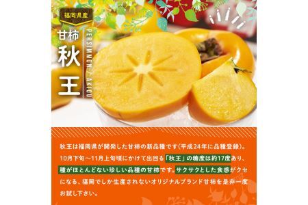 ＜先行予約受付中！2026年10月下旬～11月下旬に順次発送予定＞甘柿 秋王(約3kg箱・8-12玉)＜離島配送不可＞【ksg0123】【南国フルーツ】