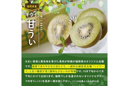 ＜先行予約受付中！2026年10月下旬～11月下旬に順次発送予定＞甘うぃ キウイ(約3kg・24-30玉)＜離島配送不可＞【ksg0125】【南国フルーツ】