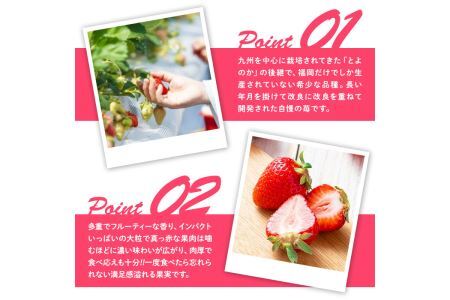 ＜先行予約受付中！2026年12月上旬～2027年3月末に順次発送予定＞あまおう・ふくや味の明太子セット(あまおう1P＋明太子290g)いちご 苺 フルーツ 果物 くだもの めんたいこ たらこ 魚介 海鮮 福岡限定 家庭用 冷蔵 ＜離島配送不可＞【ksg0074】【南国フルーツ】