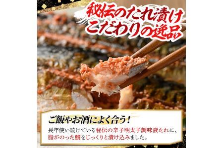 さば明太6枚  秘伝の辛子明太子液たれ仕込み めんたいこ おつまみ 魚 海鮮 お土産＜離島配送不可＞【ksg0341】【マル五】