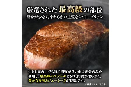 博多和牛シャトーブリアン(120g×4枚・計480g)牛肉 和牛 博多和牛 国産 ステーキ シャトーブリアン＜離島配送不可＞【ksg1285】【くしだ企画】