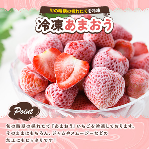 冷凍あまおう(約1.5kg) 苺 いちご イチゴ フルーツ 果物 くだもの 手作り スイーツ スムージー ジャム＜離島配送不可＞【ksg1252】【THE FARM_strawberry】