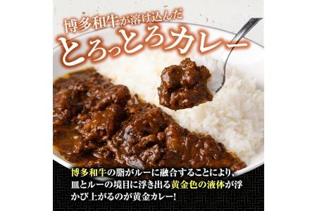 博多和牛の黄金カレー(200g×4袋)国産 和牛 博多和牛 牛肉 カレー 冷凍カレー ビーフカレー 簡単 小分け【ksg1273】【株式会社くしだ企画】
