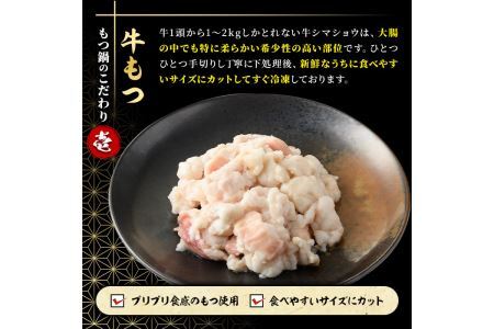 博多味噌もつ鍋(10人前) モツ鍋 もつ鍋セット みそ 冷凍 牛モツ 牛肉 ホルモン ちゃんぽん＜離島配送不可＞【ksg0297-B】【MEATPLUS】