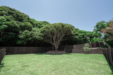 1組限定 Retreat villa iki 宿泊券 (6名様まで) 素泊り／伊勢志摩 伊勢 志摩 三重 旅行 旅行券 宿泊 ﾁｹｯﾄ ｳﾞｨﾗ 一棟貸し ﾍﾟｯﾄ 家族 友人 ｸﾞﾙｰﾌﾟ ｶｯﾌﾟﾙ 夫婦 海 ｻｰﾌｨﾝ ﾖｶﾞ 散歩 海水浴 ｻｳﾅ 泊まる BBQ ﾊﾞｰﾍﾞｷｭｰ 貸し切り 自然 愛犬 森の中 粋 ﾘﾄﾘｰﾄ ﾌﾟﾗｲﾍﾞｰﾄ ﾄﾞｯｸﾞﾗﾝ