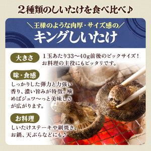 北海道産 厚岸町 上尾幌 菌床栽培 キングしいたけ プリンスしいたけ 各1パック 