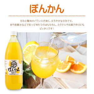 オレンジ園の濃縮ジュース ぽんかん 1L 3本 希釈用 【R01123】