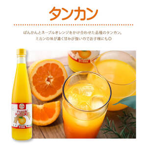 オレンジ園の濃縮ジュース タンカン 500ml 3本 希釈用 【R01118】