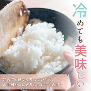 キヌヒカリ 5kg（2025年産）令和7年産 【sml400-kinu-5】