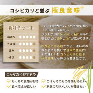 米 にじのきらめき 和歌山県産 5kg 【sml400-niji-5】