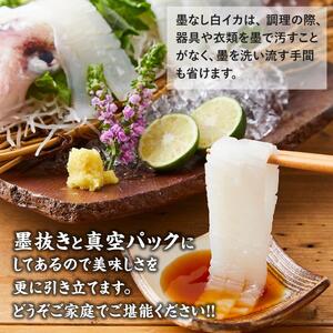 【先行予約 2026年7月以降発送】白輝姫（しらきひめ）下処理 墨抜き済み 剣先いか（白イカ）1kg（3〜4杯）| 剣先イカ