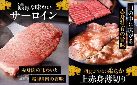 【全12回定期便】博多和牛 贅沢 食べ比べ 3人前 ( ステーキ すき焼き しゃぶしゃぶ ハンバーグ ) [ADBM157] サーロイン ヒレ シャトーブリアン 赤身 ハンバーグ ロース 定期便 
