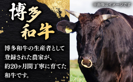 博多和牛 肩ロース 400g 焼肉 和牛 牛肉 九州産 国産 桂川町/ワイエスフード株式会社 [ADBP001] 国産牛 牛肉 肉 焼き肉用 ロース