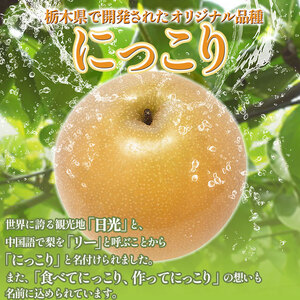【2026年先行予約】にっこり 梨 5kg【栃木県共通返礼品】P0 栃木県 下野市