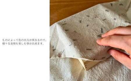 廃棄物バンドルダイ