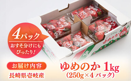 【先行予約】いちご ゆめのか 1kg [JBO138] イチゴ 苺