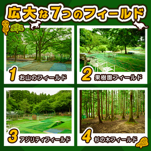 里山ドッグランサム 12ヶ月会員券 フリーパス ドッグラン 7つのフィールド ドッグウォーク ペット 大型犬 中型犬 小型犬 自然 散歩【里山ドッグランサム】ta435