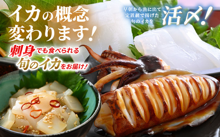 おまかせ定期便 《2ヶ月連続お届け》 計約2kg イカ 三昧！ その時期の一番良いイカをお届けします 急速冷凍 活〆 刺身 ヤリイカ ケンサキイカ アオリイカ 【いか 烏賊 若狭湾 地物 海産物 新鮮 魚介 海鮮 イカ丼 いか丼 焼きイカ 焼きいか 真空パック】 [m36-e006]