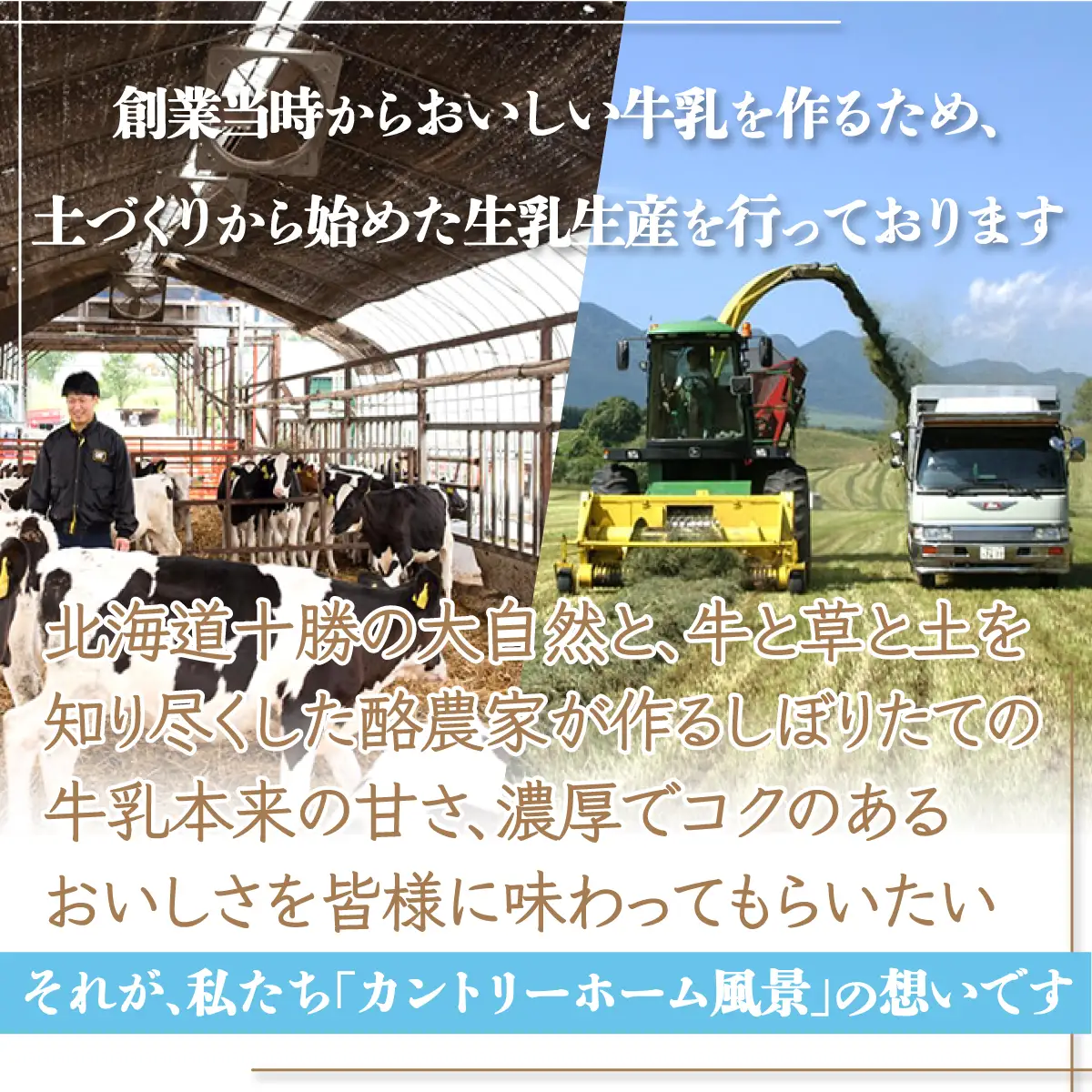ヨーグルト　牧場直送ギフト【 ビアンコ 】 【 北海道 カントリーホーム風景 送料無料 】 SKB020
