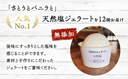 【手作り・無添加】天然塩ジェラート 100ml×12個入 カップ入り 天然塩 ジェラート 無添加 