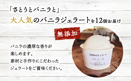 【手作り・無添加】バニラジェラート 100ml×12個入 カップ入り 天然塩 ジェラート 無添加 蔵王 低温殺菌牛乳 バニラビーンズ 