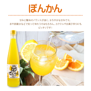 【12回定期便】オレンジ園の濃縮ジュース ぽんかん 500ml 3本 希釈用 【J00118】