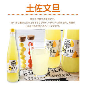 オレンジ園の濃縮ジュース 土佐文旦 500ml 3本 12回定期便 希釈用 【J00120】