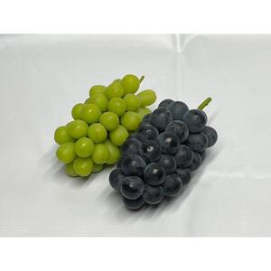 【2026年度_先行予約】【ご家庭用】ぶどう食べ比べセット 約2kg〔2026年8月中旬より順次発送〕