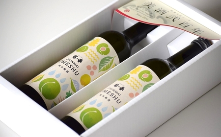 本格日本酒仕込み 純米梅酒 500ml×2本 越の誉[Y0022]