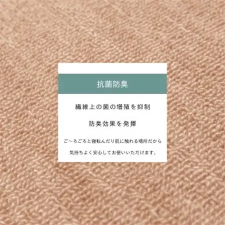 カーペット 江戸間 4.5畳 防音 抗菌防臭 厚手 ツワブキ 261×261cm ベージュ 日本製【1520479】