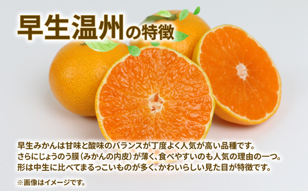 訳あり 愛媛 みかん 早生 温州 10kg 陽だまりミカン ﾐｶﾝﾐｶﾝﾐｶﾝﾐｶﾝﾐｶﾝﾐｶﾝﾐｶﾝ B010-050006