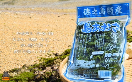 【2026年とれたて！】煌きの海からの恵み！島あおさ（1袋）【ポストイン配送】( アオサ あおさ のり 海苔 乾物 徳之島 奄美 鹿児島 お味噌汁 料理 てんぷら 卵焼き 美味しい 新鮮 )