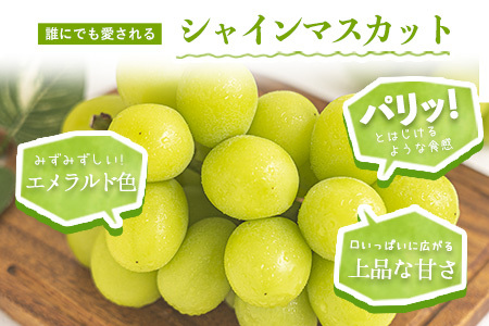 シャインマスカット約600g
