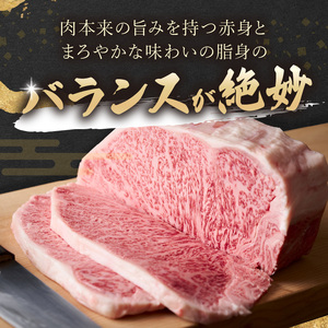 【A4～A5】長崎和牛サーロインステーキセット 500g(250ｇ×2枚)( 肉 牛肉 牛 長崎和牛 国産牛 サーロイン ステーキ ステーキ肉 お取り寄せ プレゼント ギフト 送料無料 人気 美味しい 返礼品 おすすめ )【B6-047】