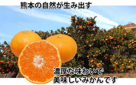 みかん 秀品 計5kg【2026年10月上旬～2027年2月下旬発送予定】