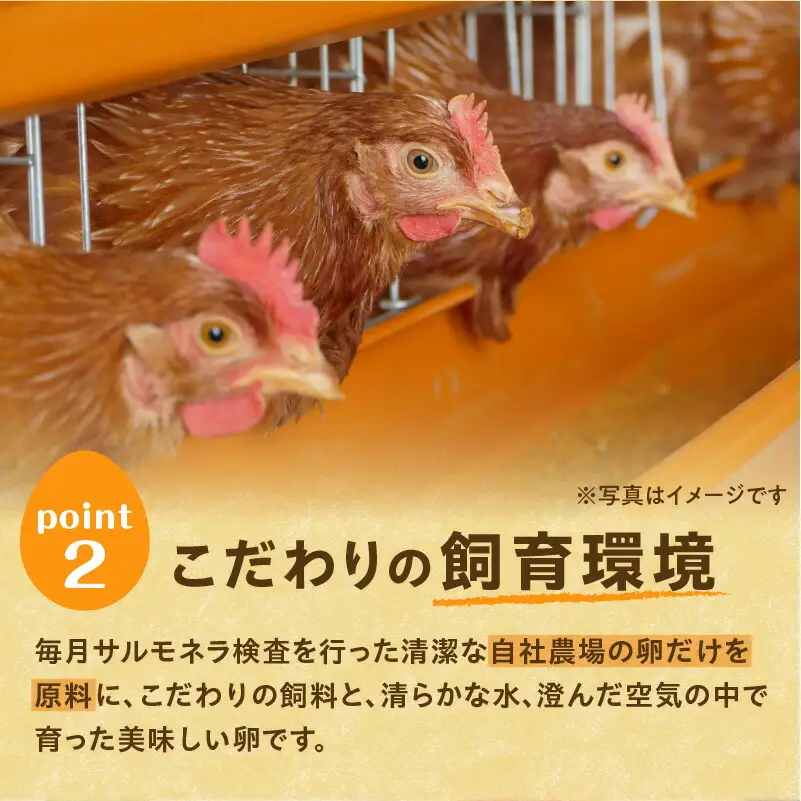 おいしいたまご 【大平原ファーム】 計40個 _S035-0001