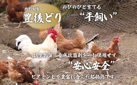 【お中元対象】博多 水炊きセット (約2人前) 糸島市 / 博多 浜や [AFF036] 水炊き 鍋