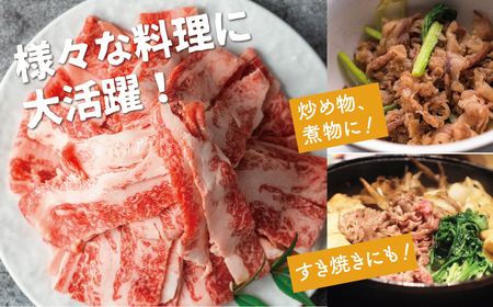 《訳あり》飛騨牛 切り落としスライス 750g 焼肉 牛肉 黒毛和牛 和牛 すき焼き 焼き肉 訳アリ わけあり ワケアリ 不揃い 部位おまかせ 煮物 飛騨古川［Q2526］18000円