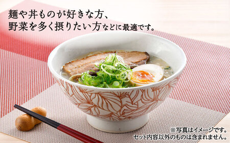 【波佐見焼】白亜ポトス 小丼ぶり 4カラーセット 麺鉢 大ボウル　【福田陶器店】[PA326]