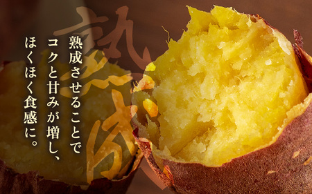 【先行予約】大谷原の熟成さつまいも (3kg 洗い芋) 約15本【入手困難・数量限定】【2026年10月下旬以降順次発送予定】【サツマイモ 芋 紅はるか】 [m23-a003]