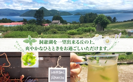 北海道 モヒート ソーダ 作り 体験 2枚 ハーブ ミント サイダー ノンアルコール ノンアル オリジナル 天然 リラックス 癒し リラクゼーション ハーバルランチ 送料無料 洞爺湖 