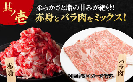 【まるっと便利】佐賀牛 赤身とバラ肉の切り落とし 600g 吉野ヶ里町/NICK’S MEAT[FCY029]