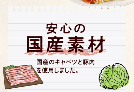 ＜2か月に1回　計3回　定期便＞国産キャベツと豚肉のロールキャベツ（4P入り）[022J17-T]
