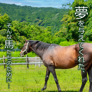 【 引退馬 】 引退馬支援5万円
