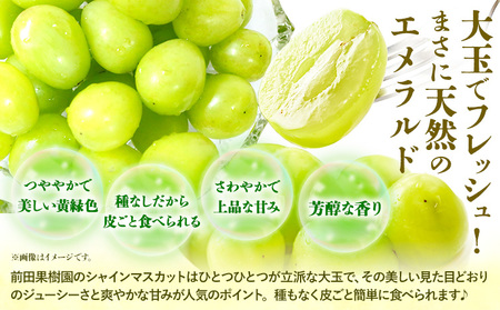 【先行予約】 シャインマスカット 約1.2kg（2房） 《8月下旬-9月末頃出荷》シャインマスカット フルーツ シャインマスカット 期間限定 シャインマスカット 前田果樹園