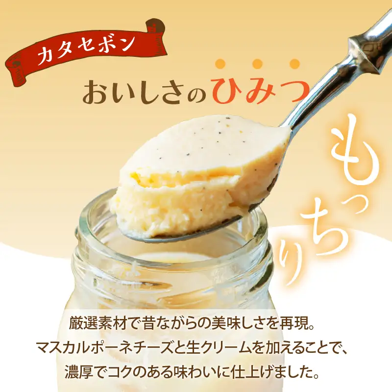 南国プリン「カタセボン(計9個)」 スイーツ 洋菓子 国産_T038-0035