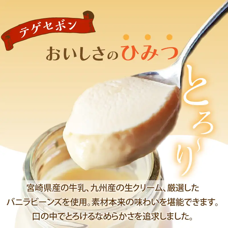 南国プリン「テゲセボン(計9個)」 スイーツ 洋菓子 国産_T038-0055